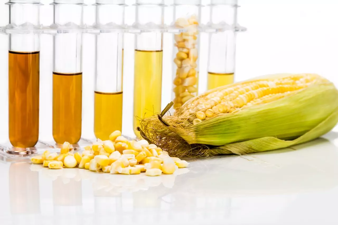 Bioethanol, the great comeback of 1970s innovation