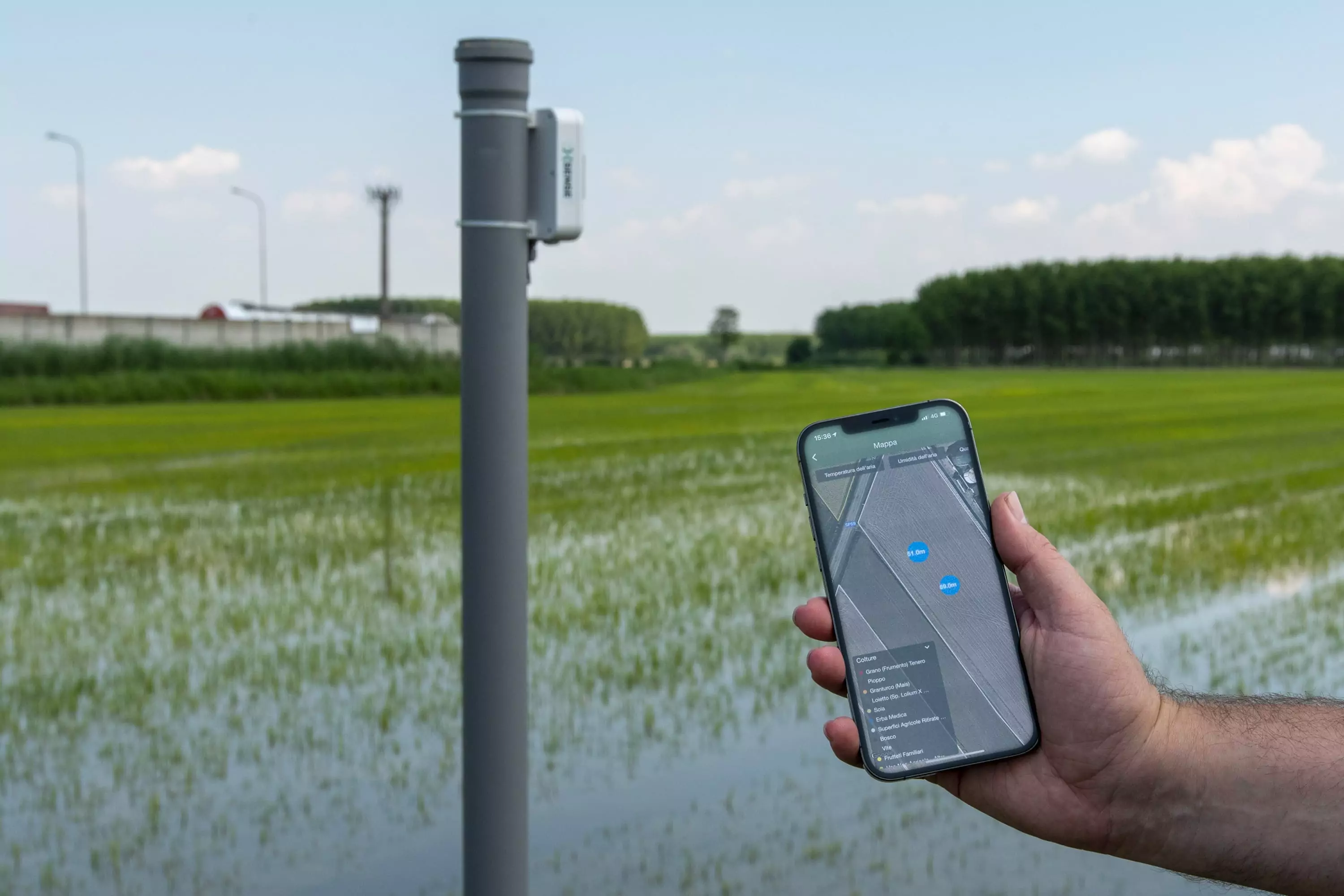 xFarm Technologies e Riso Gallo, tecnologia per la sostenibilità